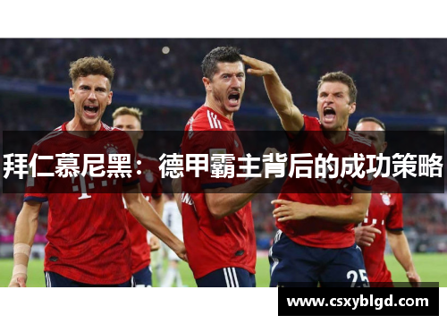 拜仁慕尼黑：德甲霸主背后的成功策略