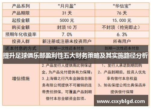 提升足球俱乐部盈利性五大财务策略及其实施路径分析
