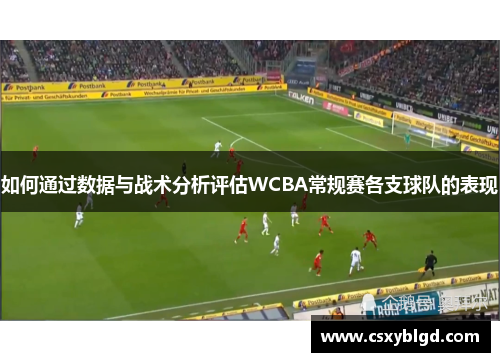 如何通过数据与战术分析评估WCBA常规赛各支球队的表现