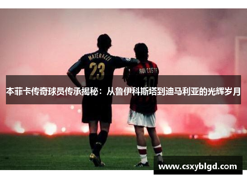 本菲卡传奇球员传承揭秘：从鲁伊科斯塔到迪马利亚的光辉岁月