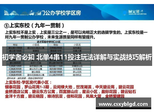 初学者必知 北单4串11投注玩法详解与实战技巧解析