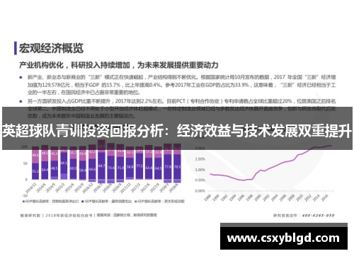 英超球队青训投资回报分析：经济效益与技术发展双重提升