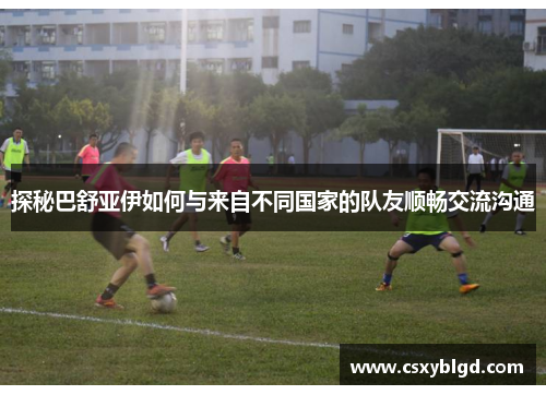 探秘巴舒亚伊如何与来自不同国家的队友顺畅交流沟通