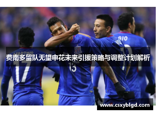 费南多留队无望申花未来引援策略与调整计划解析