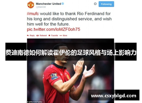 费迪南德如何解读霍伊伦的足球风格与场上影响力