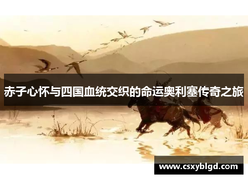 赤子心怀与四国血统交织的命运奥利塞传奇之旅 赤子心怀与四国血统交织的命运奥利塞传奇之旅